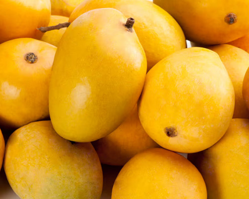 Alphonso Mangoes